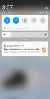 SkyLots аукцион и маркетплейс android App screenshot 0